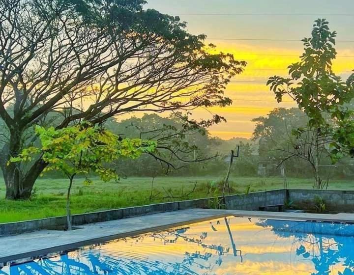 Отель Sigiriya Elegant Resort