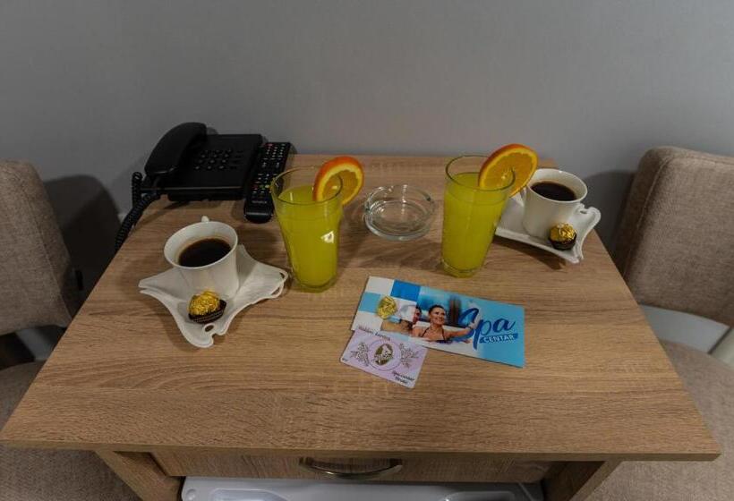 هتل Smestaj & Spa Protić