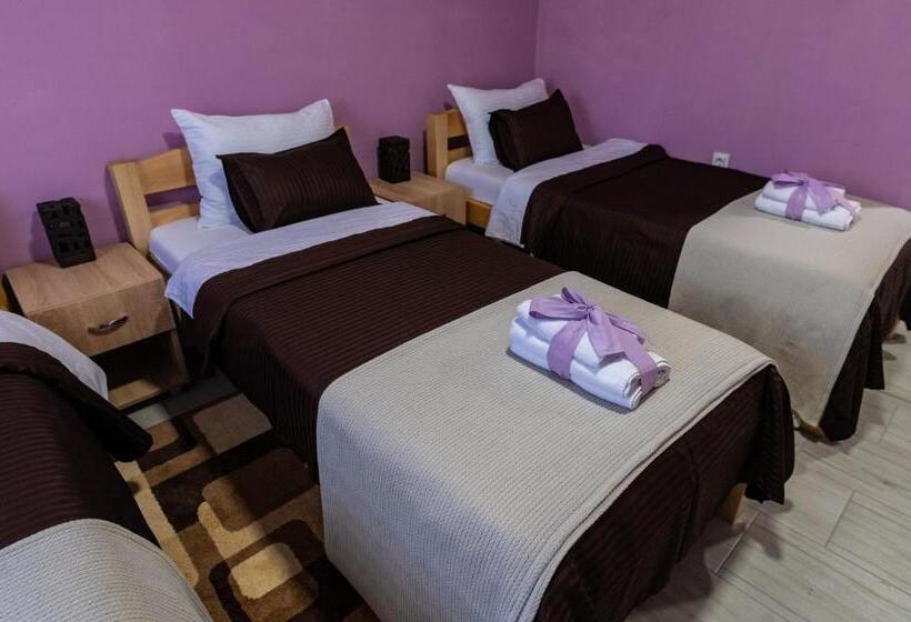 هتل Smestaj & Spa Protić