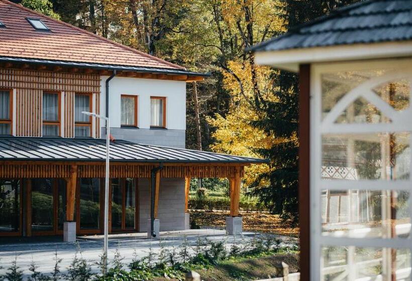 فندق Villa Bellini Borszék