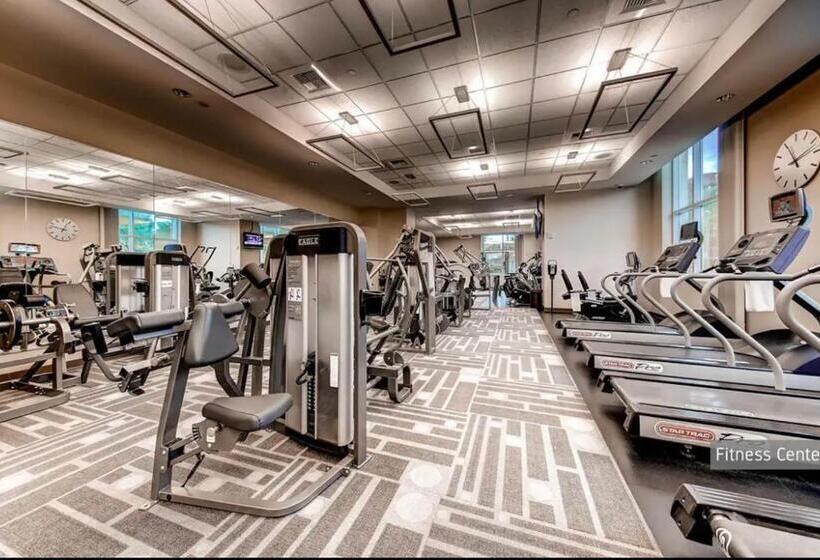 Jewel Suite W/balcony Mgm Signature  23rd Floor Strip View