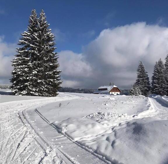 بنسيون Apartmány V Chalupě Nad Modravou