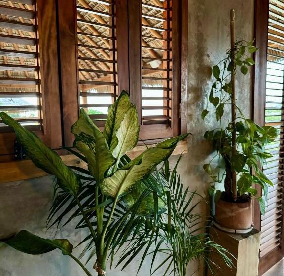 ペンション Casa Monika Penthouse Room