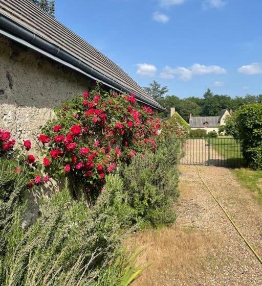 بنسيون Château Dans Le Val De Loire