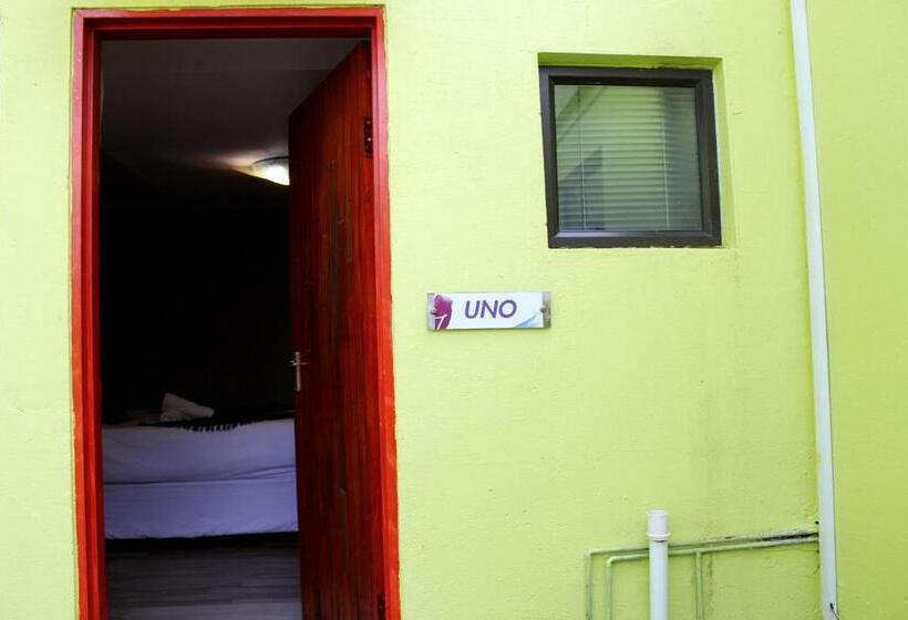 פנסיון El Divino Guesthouse