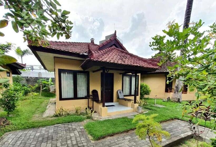 פנסיון Gguesthouse