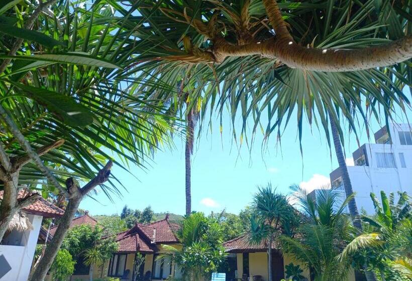 פנסיון Gguesthouse