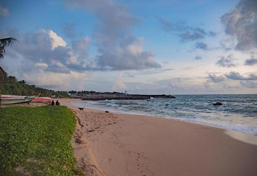 פנסיון Hanka Villa  Ambalangoda