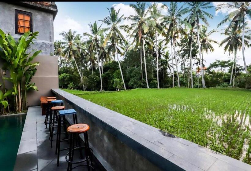 Pensjonat Harmony House 7: Rice Field View. Near Ubud Center