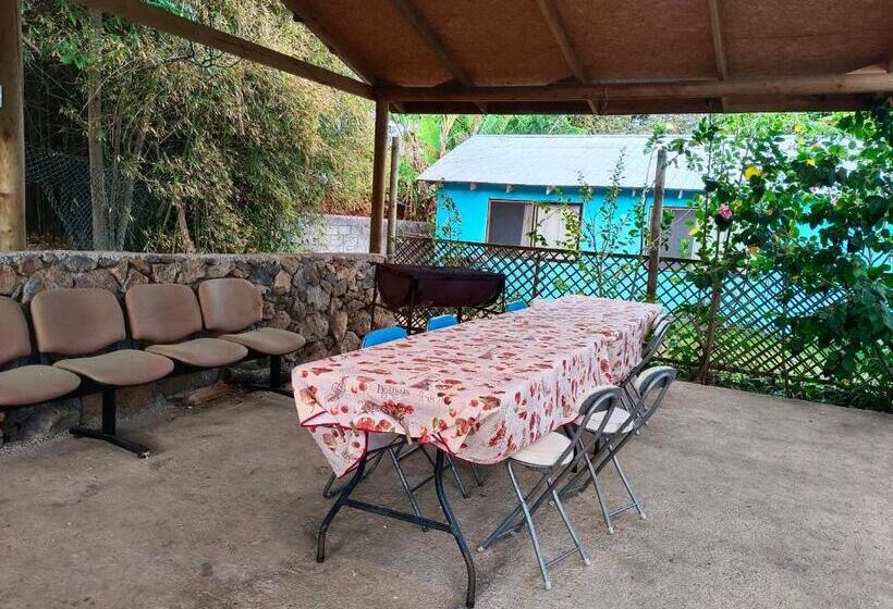 بنسيون Hostal Kaiheke