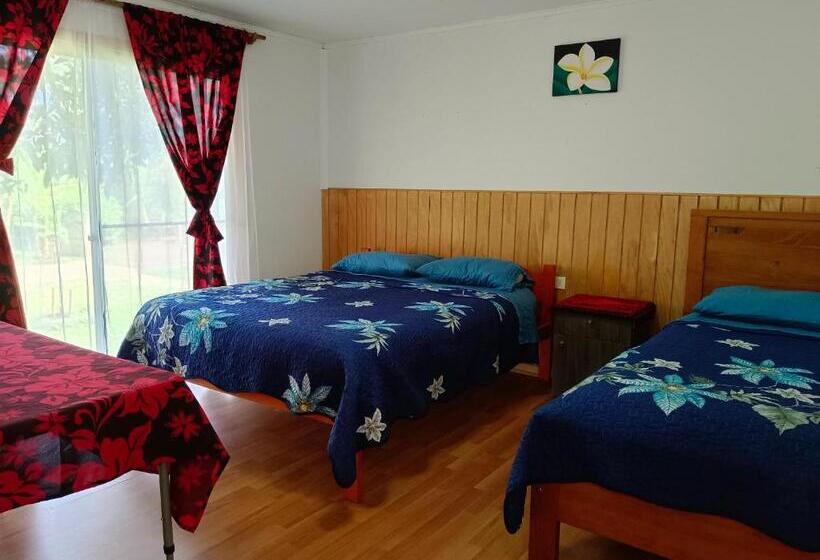 بنسيون Hostal Kaiheke