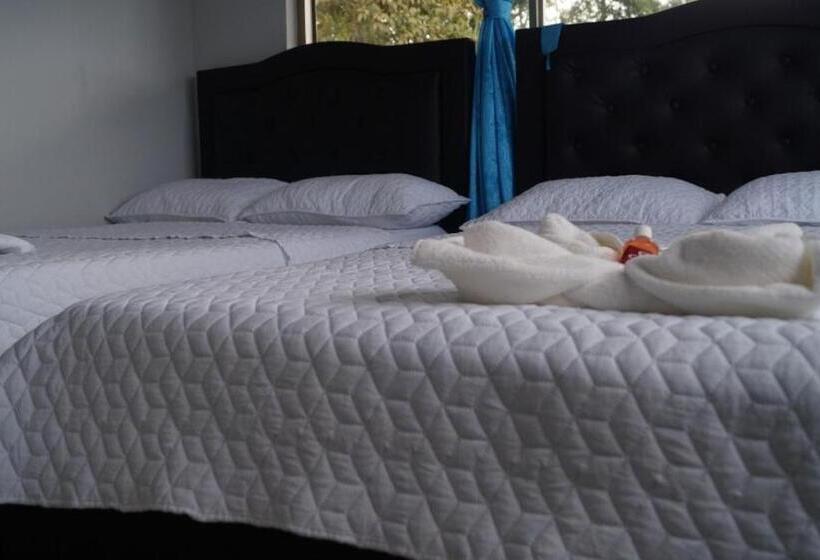 پانسیون Hostal Magica Noche Filandia