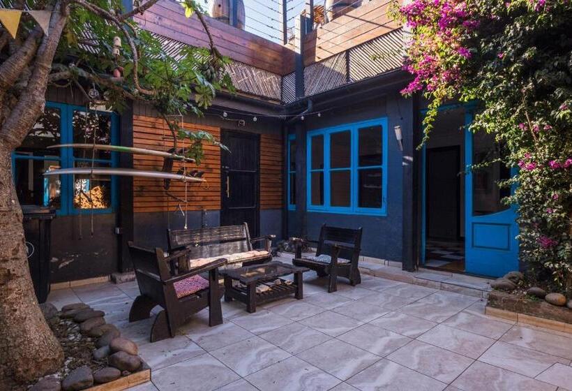 膳宿费 Löf Hostal