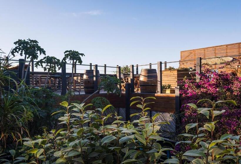 膳宿费 Löf Hostal