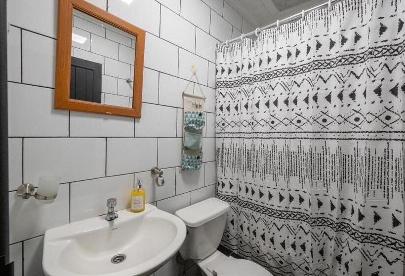 膳宿费 Löf Hostal