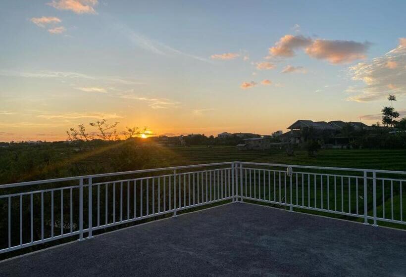 פנסיון Misi Guesthouse