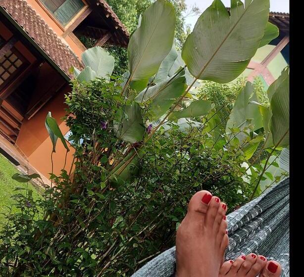 ペンション Quintal Da Mata