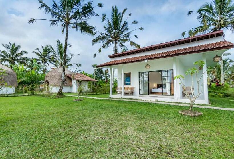 פנסיון Ritual Ubud