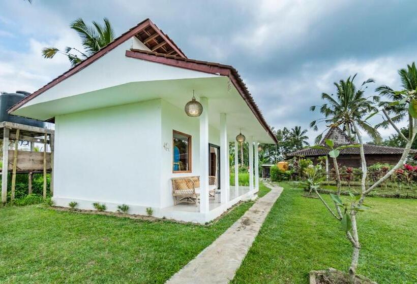 פנסיון Ritual Ubud