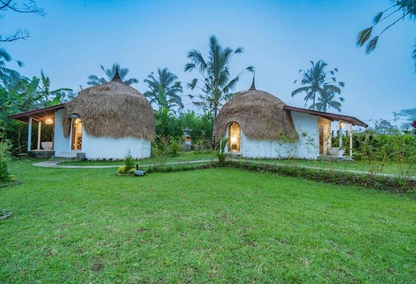 פנסיון Ritual Ubud