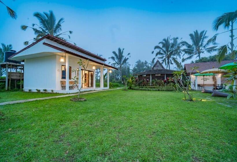 פנסיון Ritual Ubud