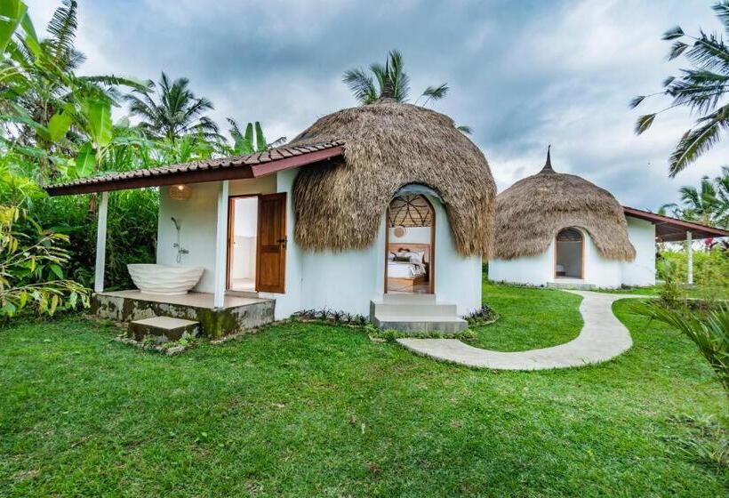 פנסיון Ritual Ubud