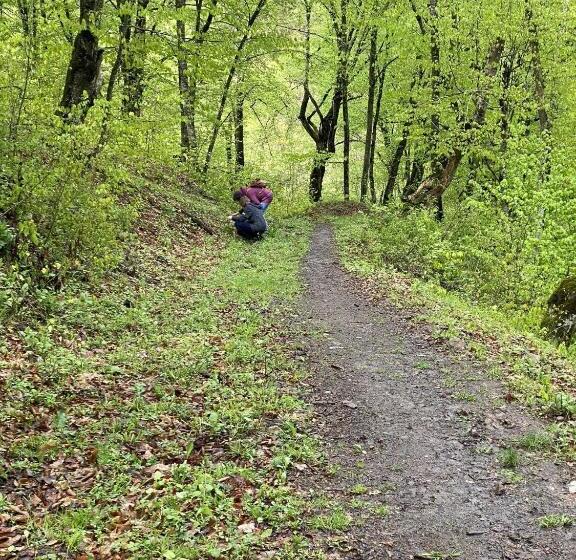 פנסיון Tatul Guest House