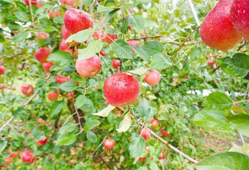 بنسيون The Bath & Bed Obuse   Vacation Stay 15924