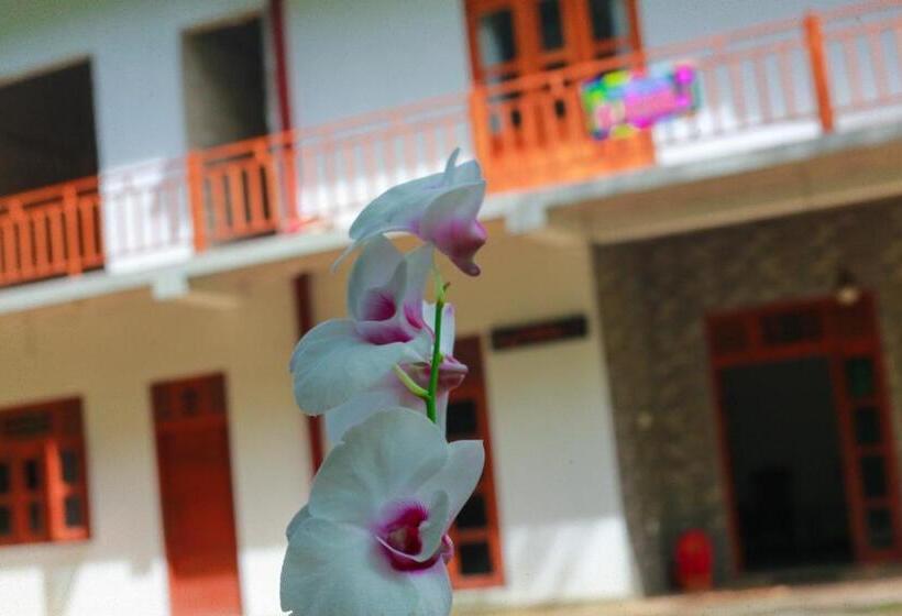 펜션 Yino Villa Midigama