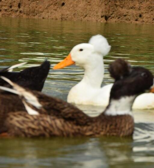 Kurort  A Moment Of Love...by Red Z @บ้านมุง เนินมะปราง