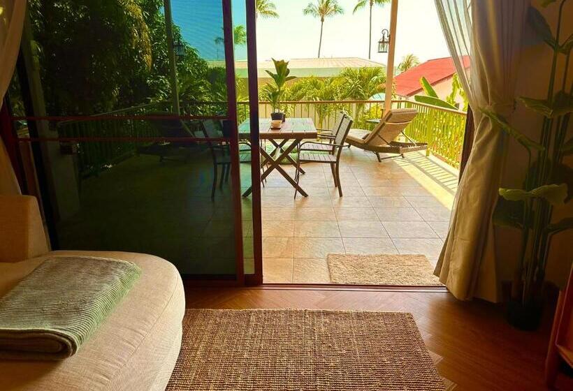 渡假胜地 Les Villas D Electra