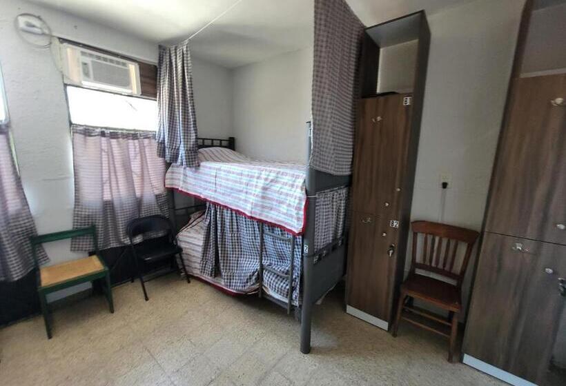 Soluna Female Only Hostel