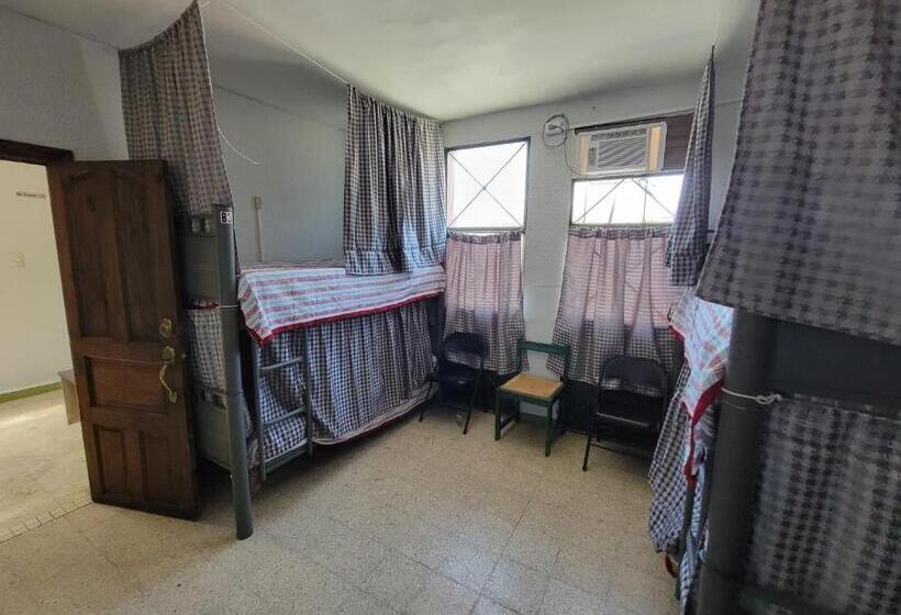 Soluna Female Only Hostel