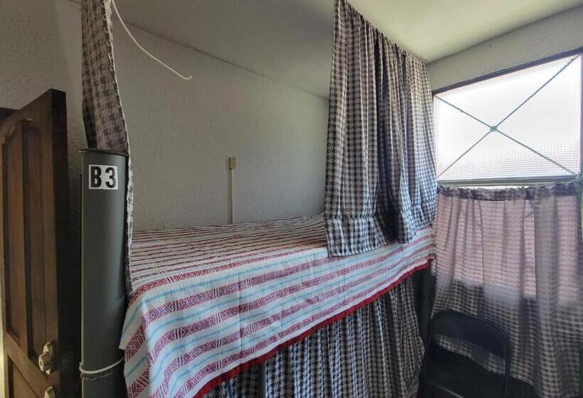 Soluna Female Only Hostel