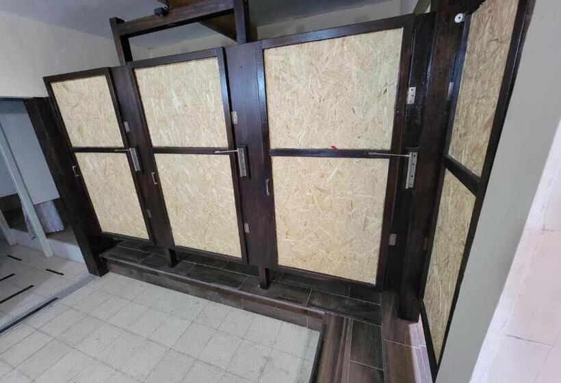 Soluna Female Only Hostel