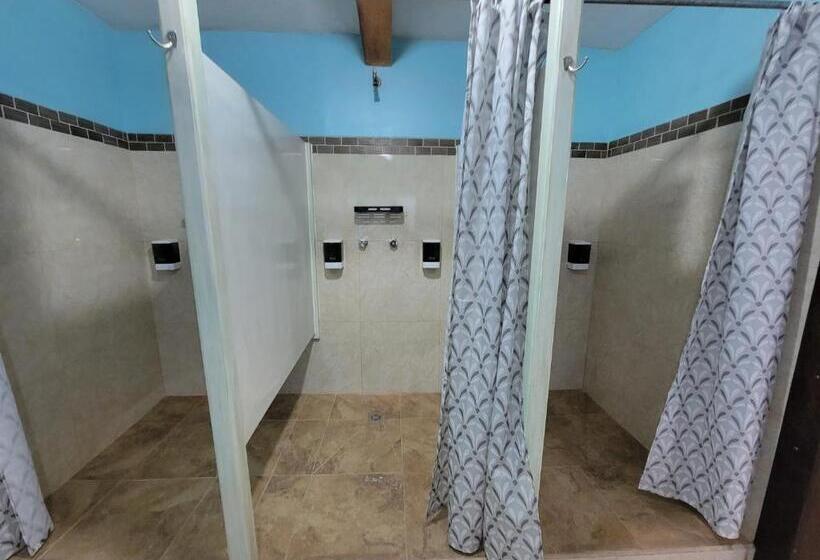 Soluna Female Only Hostel