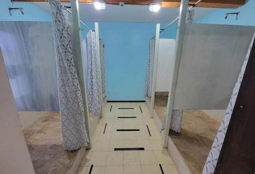 Soluna Female Only Hostel