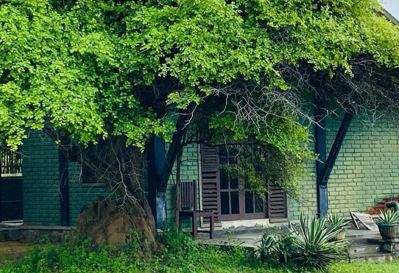 Yala Ying Yang Hostel & Camping