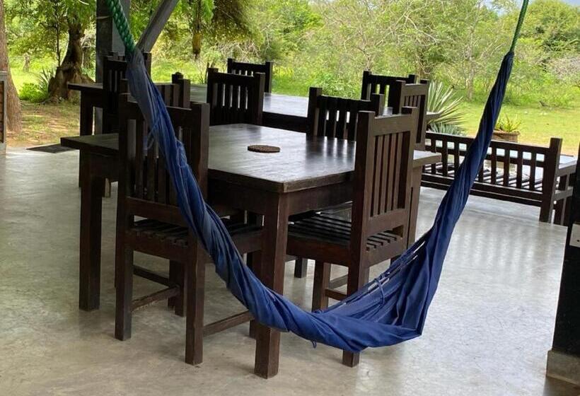 Yala Ying Yang Hostel & Camping