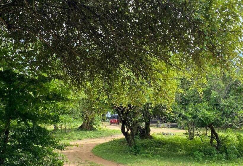 Yala Ying Yang Hostel & Camping