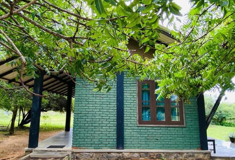 Yala Ying Yang Hostel & Camping