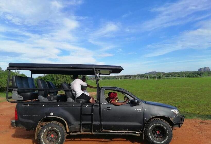 Yala Ying Yang Hostel & Camping