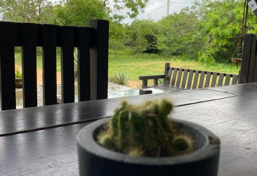 Yala Ying Yang Hostel & Camping