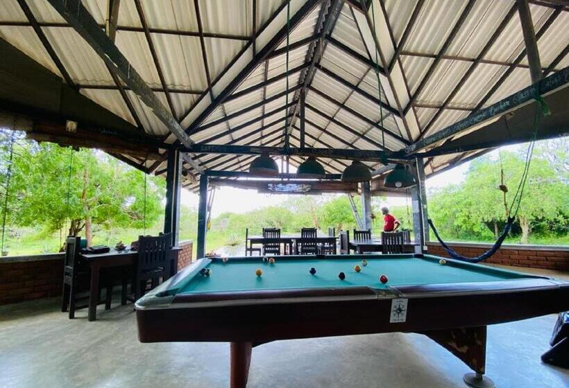 Yala Ying Yang Hostel & Camping