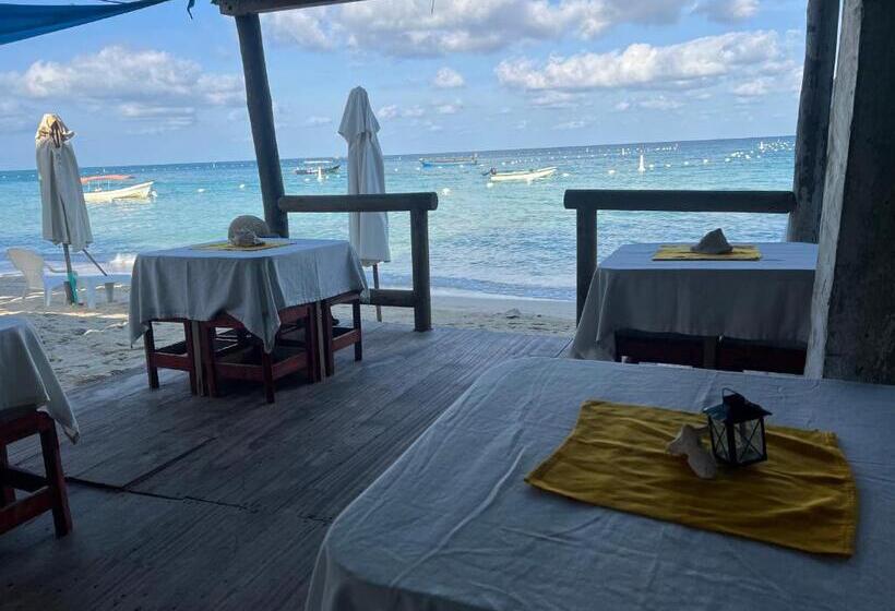 הוסטל Acapulcobeach