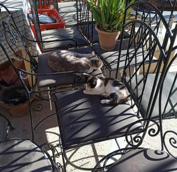 فندق صغير Auberge Amougar