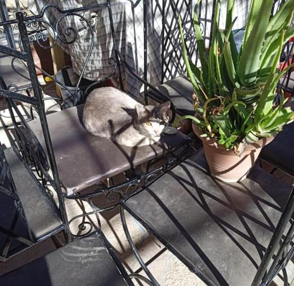 هاستل Auberge Amougar