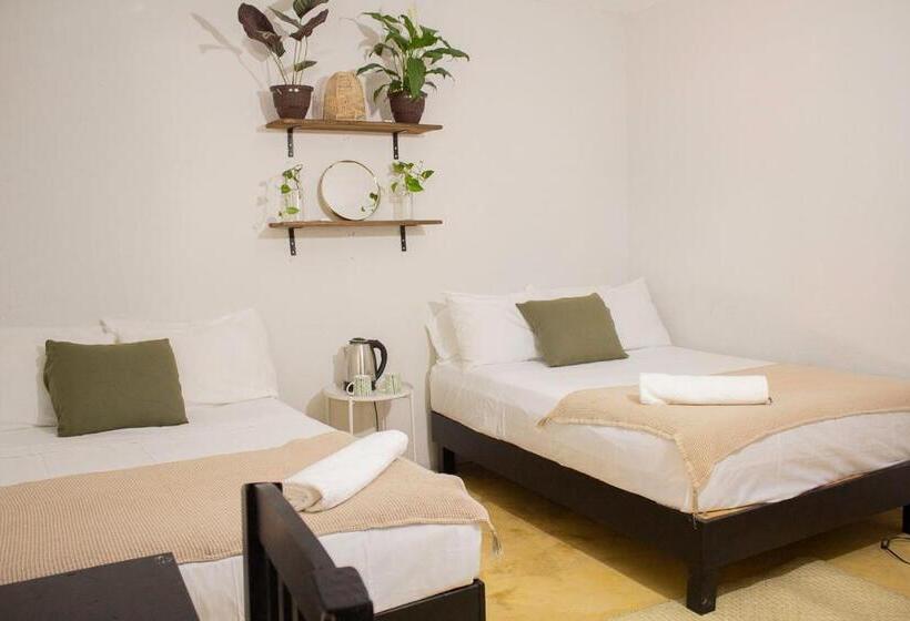 ユースホステル Casa Niita