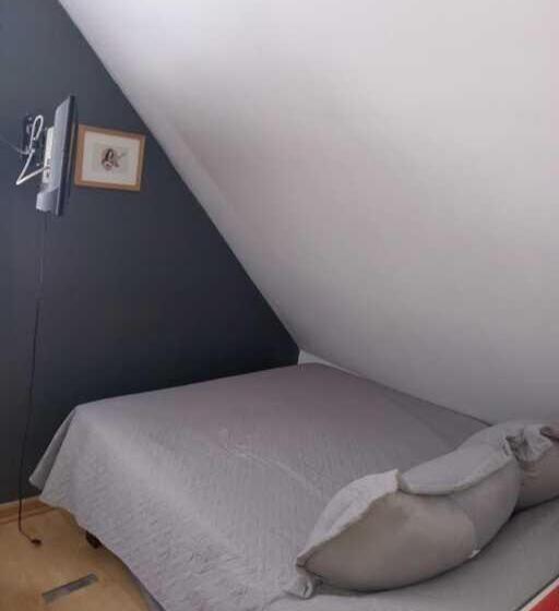 فندق صغير Hostal Salvador