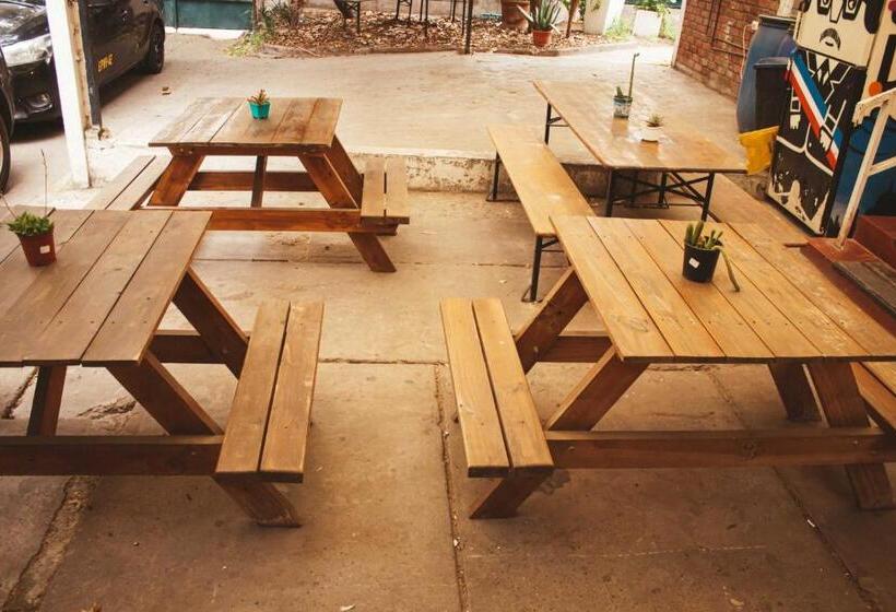 فندق صغير Hostal Salvador